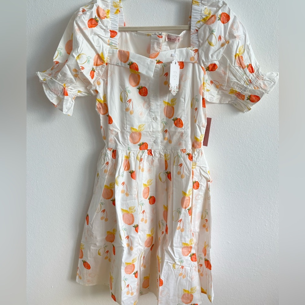 NWT Ivy City Co Fruit Medley Dress size 2 🍊 - Picture 3 of 7